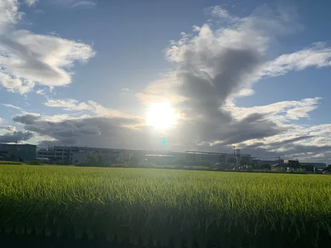 光と雲の戯れ、稲穂の海