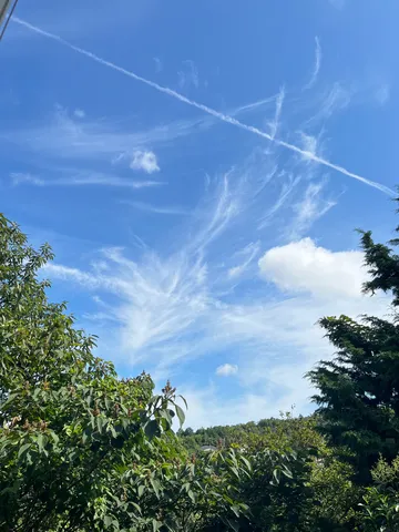 青い空に浮かぶ雲の糸