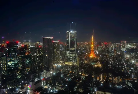 東京夜景：煌めく塔と高層ビル群