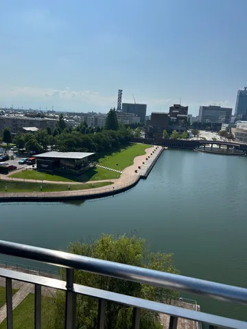 水辺と都会のコントラスト
