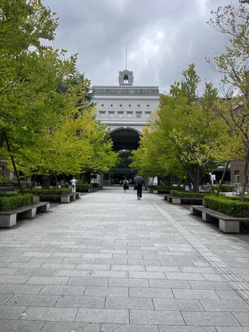 京大南