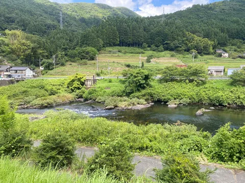 川辺のんびり風景