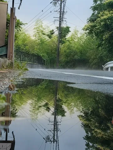 雨上がりの水たまりに映る電柱