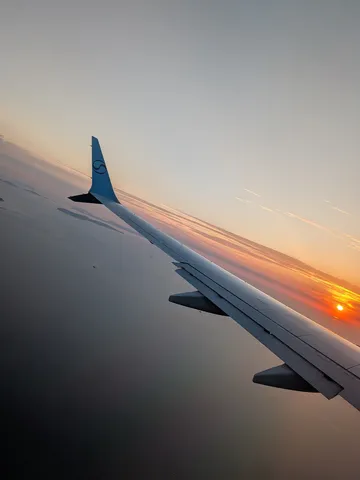 夕陽に染まる翼の静かな旅路