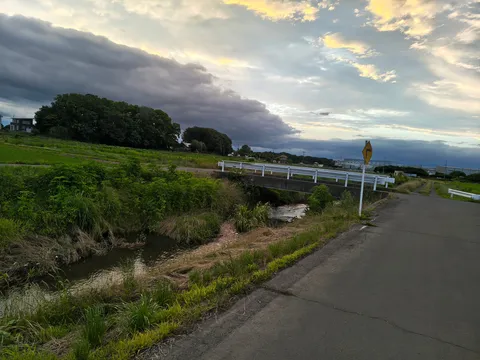 雨上がり、道端の風景