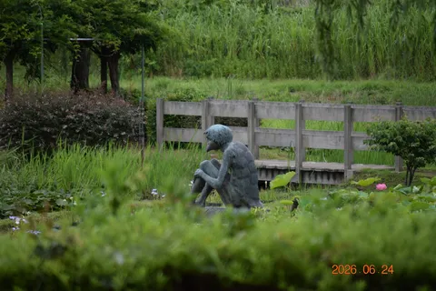 静寂の池畔、物思いにふける人影