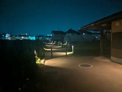 夜道の灯と影の散歩路