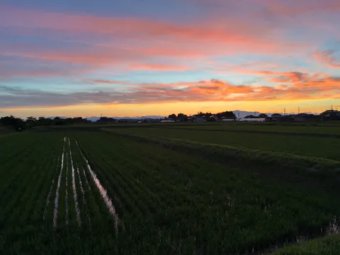 夕焼けに染まる田園の叙情