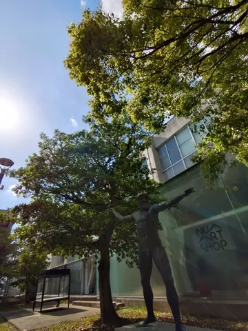 青空と巨人の日常