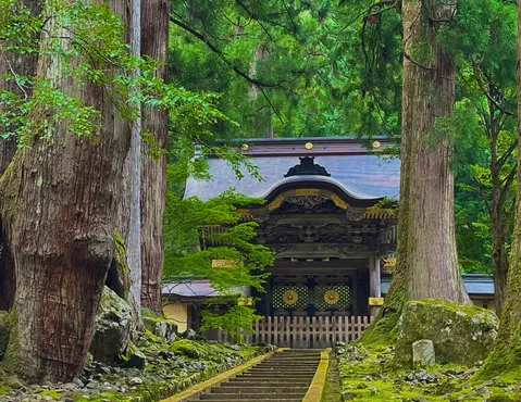 杉木立に守られた社殿