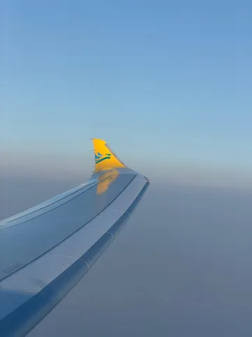 空と翼のコントラスト