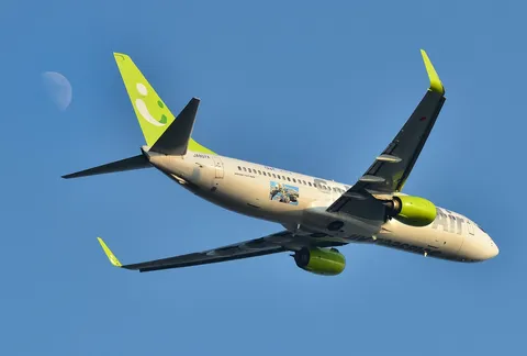 月と空飛ぶ緑の翼