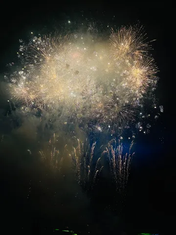 夜空を彩る光の芸術