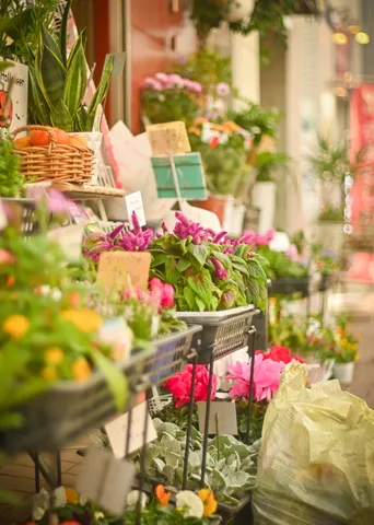 色とりどりの花々、商店街の彩り