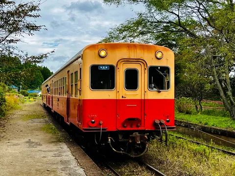 茜色の列車、緑の記憶を辿る