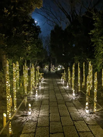 月夜を歩む竹灯りの道