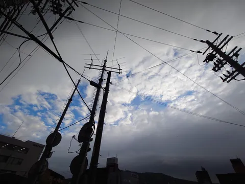電線が織りなす空の迷宮