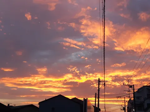 空に燃える夕焼けと電線