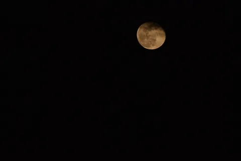 夜空に浮かぶ、黄金の月