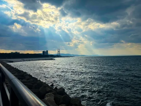 空のはしご