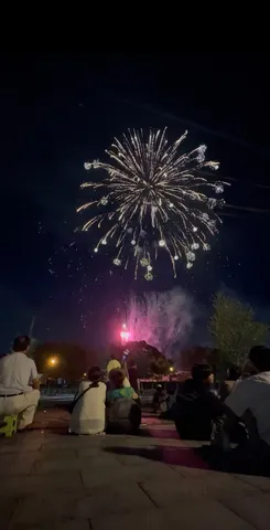 夜空に咲く光の華