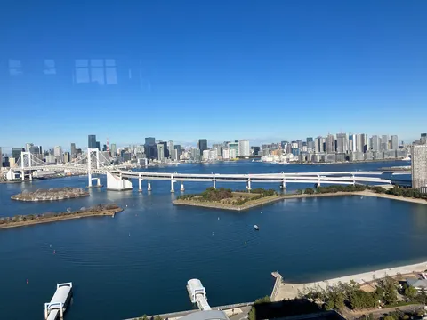 都会の海へ架かる白き橋