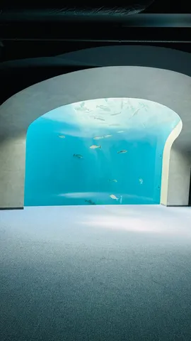 青いアーチの水槽空間