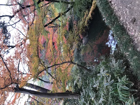 秋色の水面に映る景色