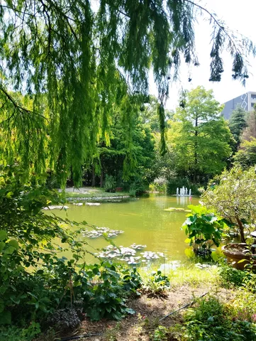 都会のオアシス、緑と水の戯れ