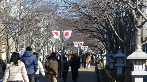 冬日差し、日の丸の道