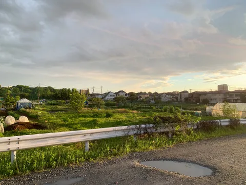 夕暮れ時の田園風景