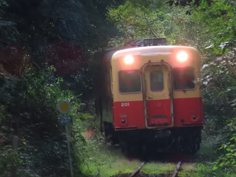 光を放ち森を進む車両