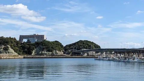 穏やかな港のひととき
