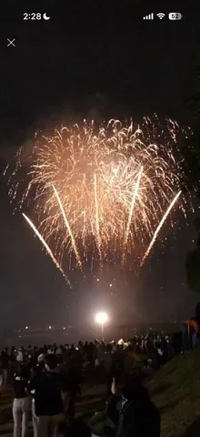 夜空に咲いた大輪の花