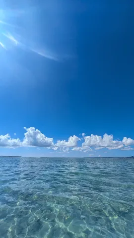 どこまでも青！水底まで見えちゃった