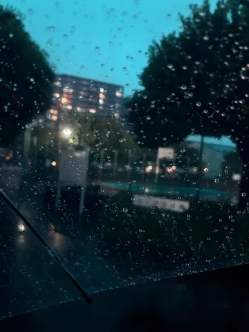 雨粒越しの雨音の情景