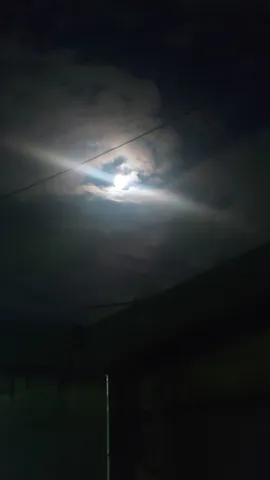 月明かりを遮る電線、夜の帳