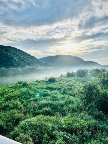 霧の向こうの光景