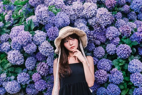 紫陽花に溶け込む夏の夢