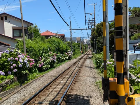 夏の日の花と鉄路