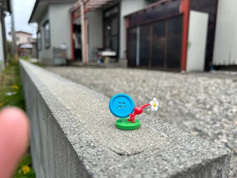 水路に咲いた青いボタン