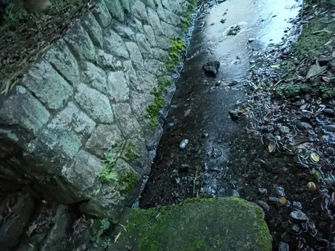 石垣とせせらぎの小道