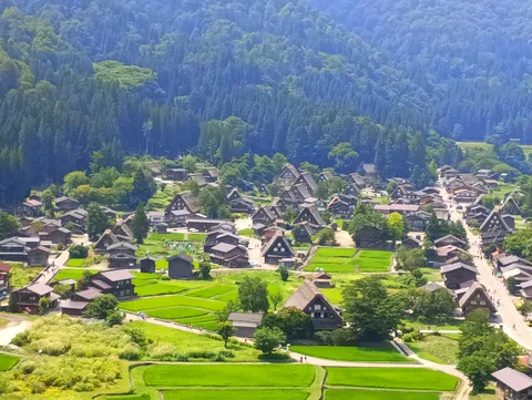 合掌造り集落と緑の田園風景