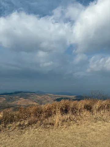 秋枯れの丘と空のコントラスト