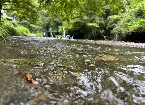 水辺のささやかな風景