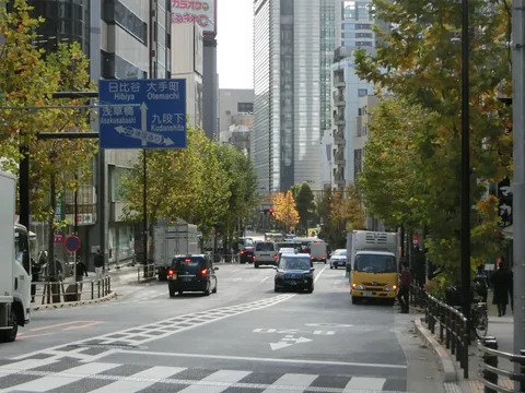 都会の風景、秋色の道