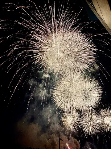 夜空を彩る、白銀の華