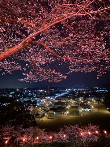 夜桜越しの灯りの町