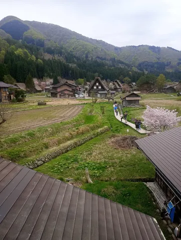 山村の春、古民家と桜