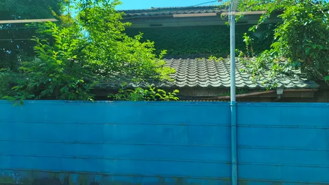 藍色の壁と緑の息吹